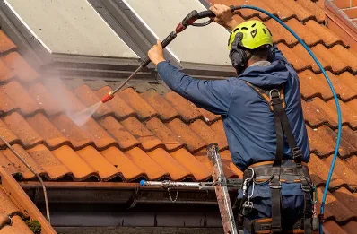 Démoussage et hydrofuge de toiture à Sergenon